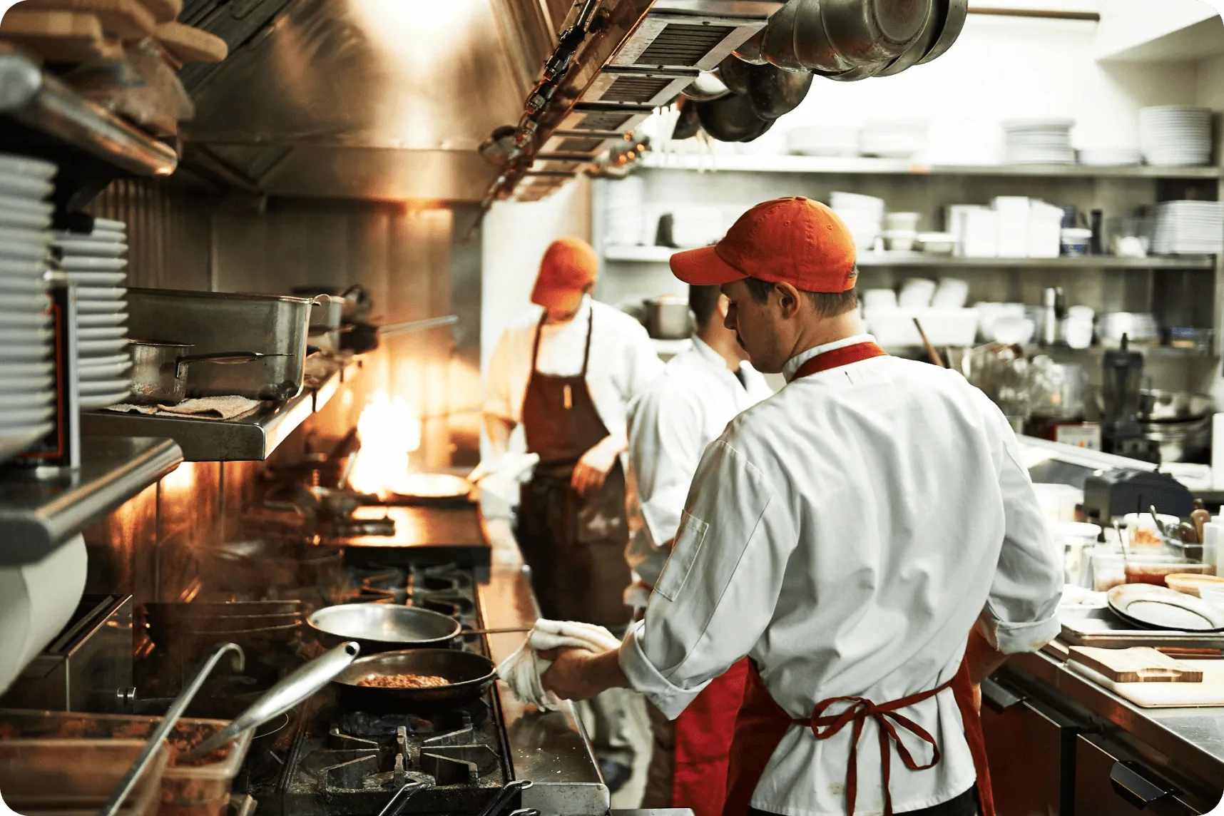 Control de plagas profesional en bares y restaurantes de Jaén, Granada y Córdoba
