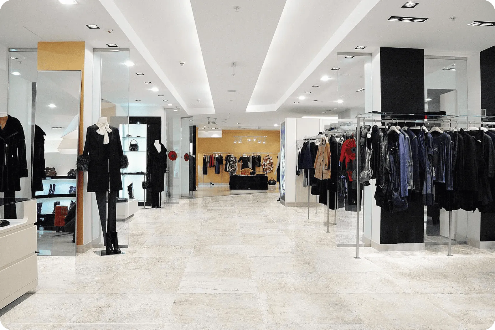 Control de plagas profesional en comercios y tiendas de Jaén, Granada y Córdoba