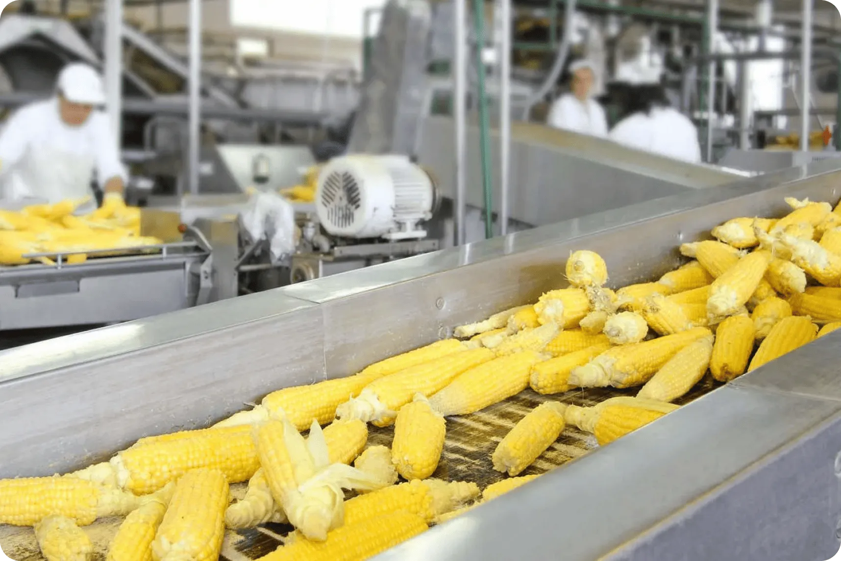 Zonas críticas de control de plagas en industria alimentaria de Andalucía